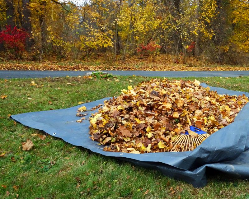 Autumn Cleanup