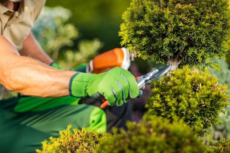 Landscaping Experts